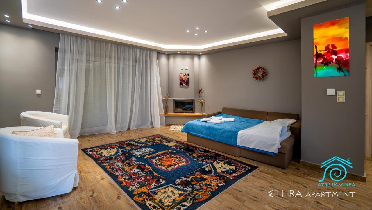 Atrium Vinea Brintziki Winery Apartment Smila Exterior photo